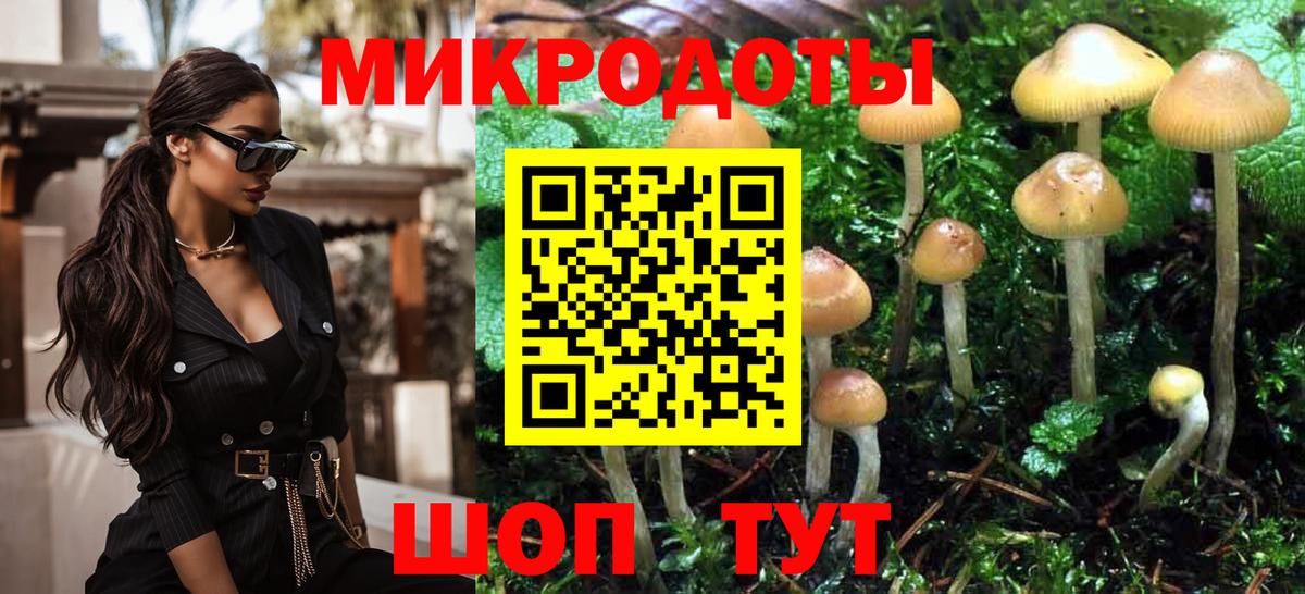 Галлюциногенные грибы прущие грибы Тулун