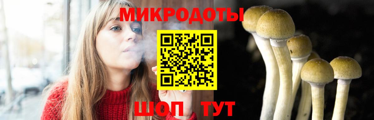 Галлюциногенные грибы мухоморы  Вход с VPN  Тулун 